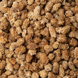 BIO fehér eper